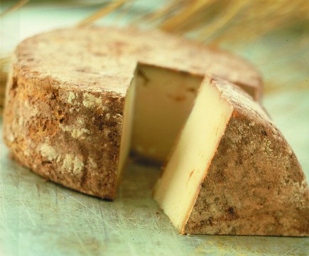 Tomme de chèvre